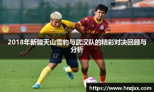 2018年新疆天山雪豹与武汉队的精彩对决回顾与分析